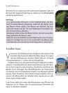 Auszug aus dem Buch: Therapievorschläge