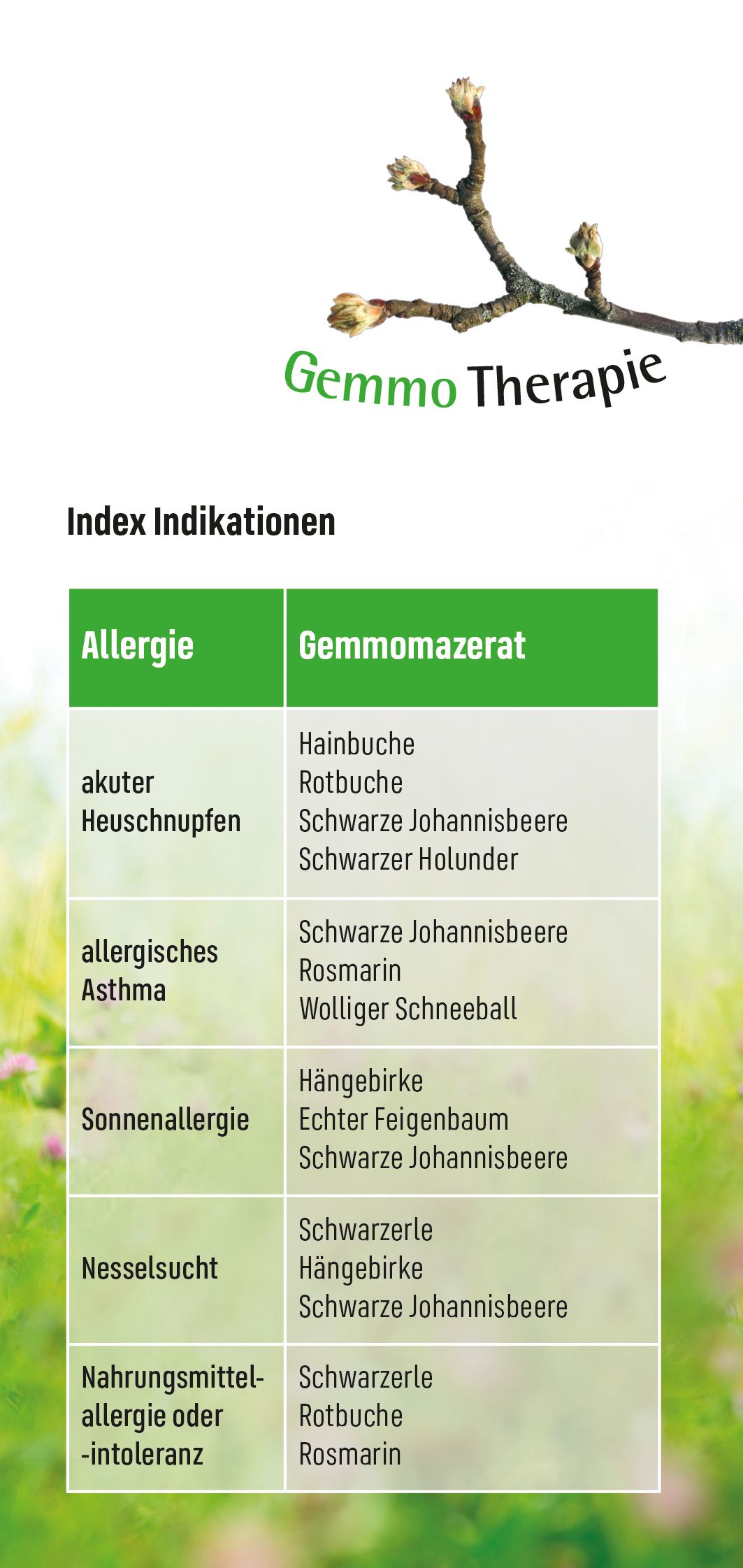 Natürlich gesund - Allergien
